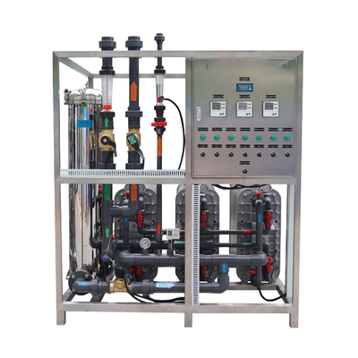 Customized Industrial & Commercial Ultrapure Water Treatment Machine RO-EDI Water Treatment System